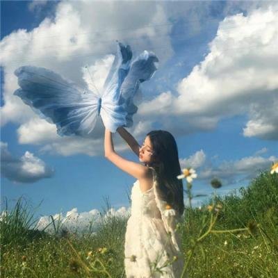 白暮的编年史
